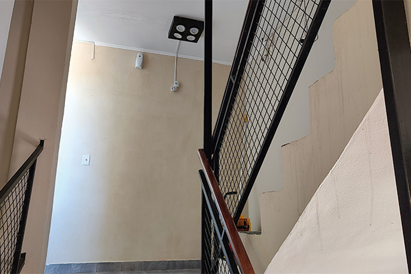 Jardín y áreas verdes