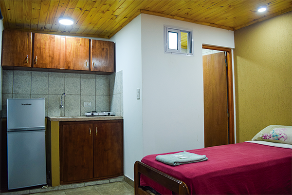 Jardín y áreas verdes