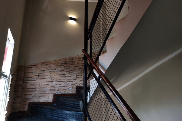 Jardín y áreas verdes