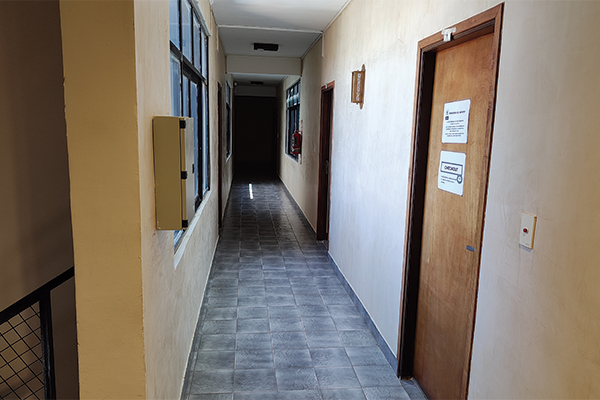 Jardín y áreas verdes